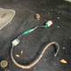 Adapter harness between 1998 and 2000 mustang seats. Two pin to four pin.